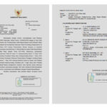 14139593-9e76-48d6-9f1e-50000e6e5545