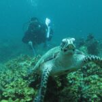 C402732E-194C-417B-AF4F-8737DCF45762